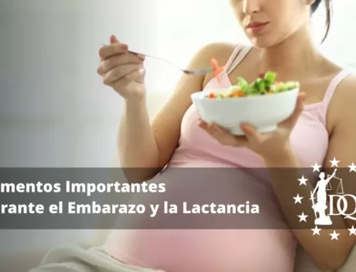Alimentos Importantes Durante el Embarazo y la Lactancia