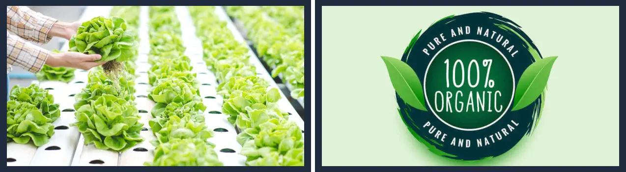 qué significa orgánico en la etiqueta del producto qué significa orgánico en la etiqueta del producto