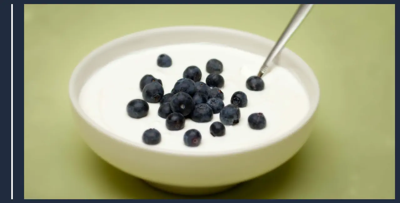 Mejores alimentos para estudiar de noche y estar concentrado yogur casero arádanos