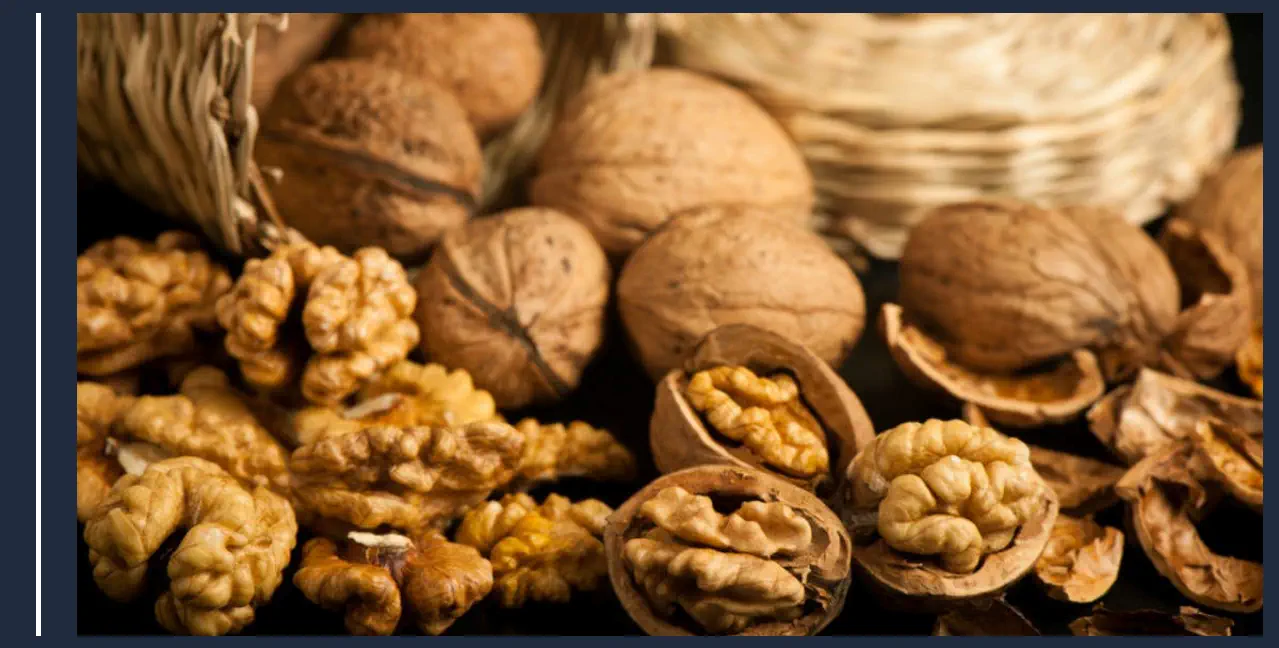 Nueces como alimentos para estudiar de noche y estar concentrado