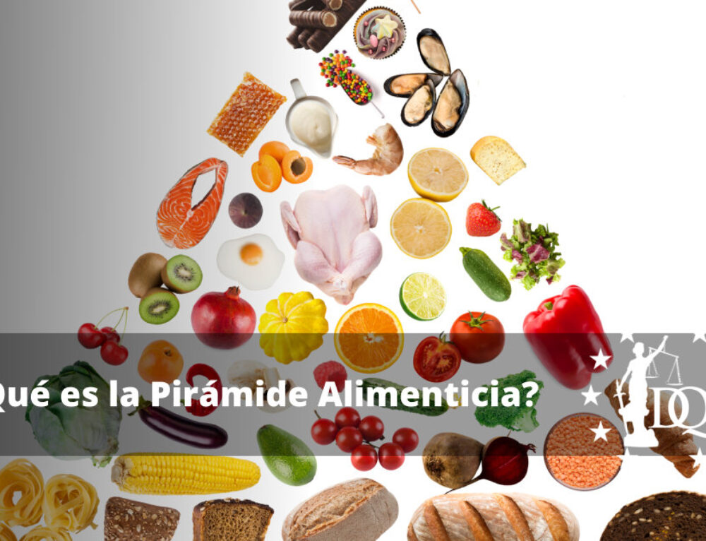 ¿cuál Es La Diferencia Entre Alimentos Y Nutrientesemk 7517