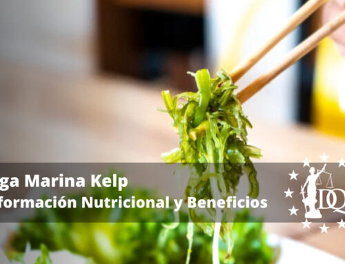Alga Marina Kelp – Información Nutricional y Beneficios