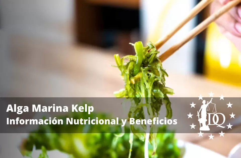 Alga Marina Kelp – Información Nutricional y Beneficios Alga Marina Kelp – Información Nutricional y Beneficios