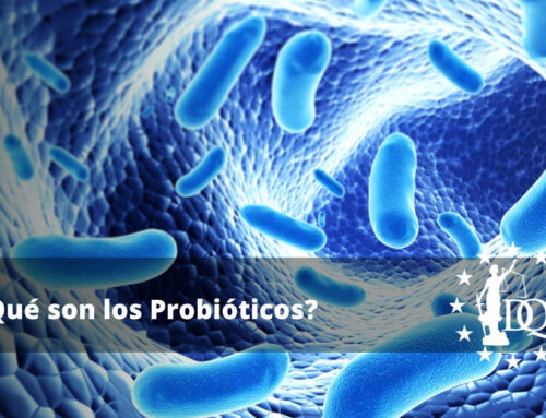 ¿Qué son los Probióticos? Beneficios de los Probióticos para la Salud