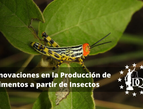 Innovaciones en la Producción de Alimentos a partir de Insectos