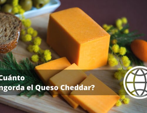 ¿Cuánto Engorda el Queso Cheddar?